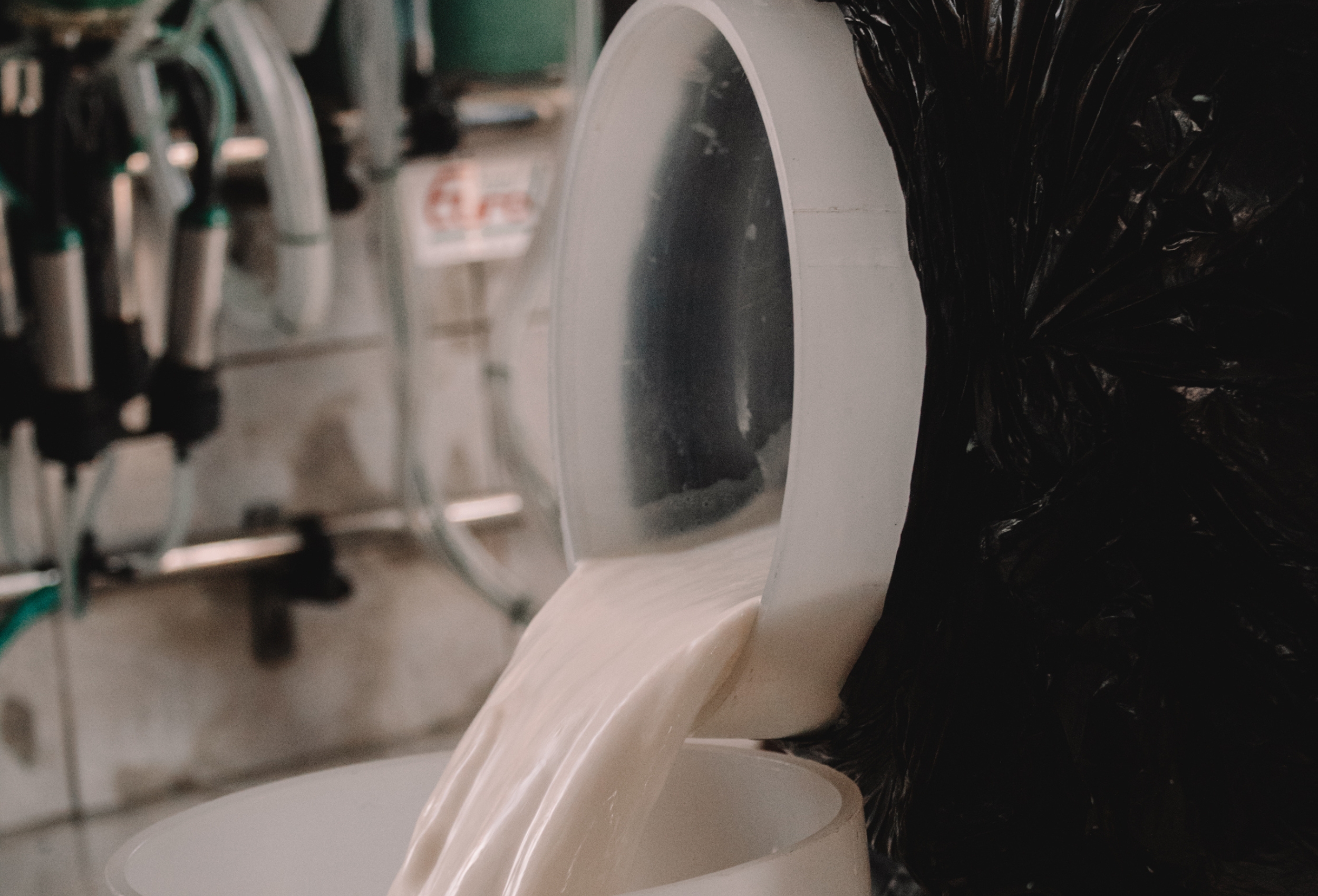 Produtores de leite enfrentam início de ano difícil, mas setor projeta reação nos próximos meses