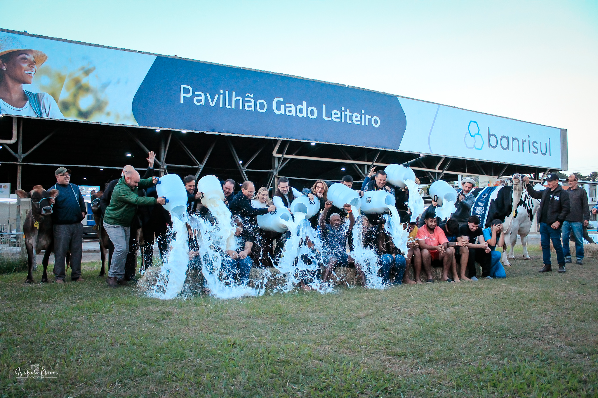 Concurso Leiteiro da raça Holandesa premia campeãs na Fenasul Expoleite