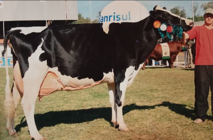 34 - Potigo Gracinha Mason