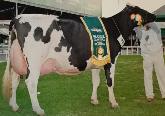 42 - V.B. 1222 Keila Pontiac