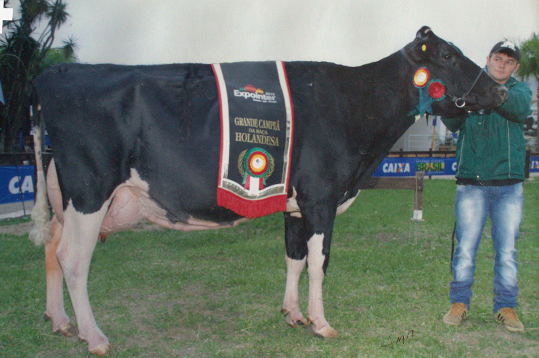44 - Harm Wiersa Bronco 2500