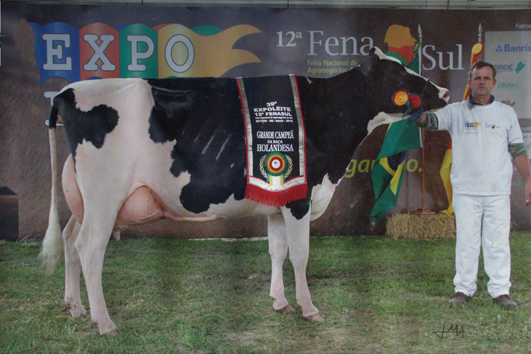 45 - NL Mayana Baxter Windbrooc