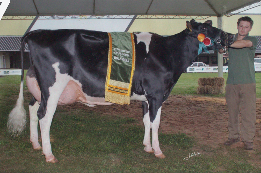 47 - C.J.C. Tertuliana Alexander 729