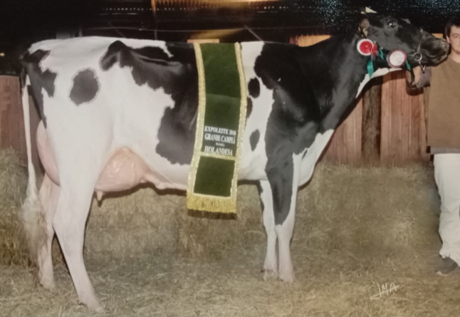 49 - Constentation Darah Doorman