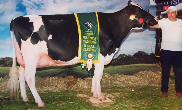 55 - Baronesa Ali 2269