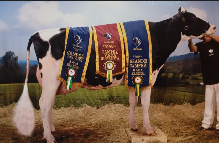 59 - Garzella 461 Catia Delta-Lambda